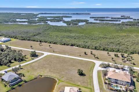 Land in Punta Gorda, Florida № 1525151 - photo 26