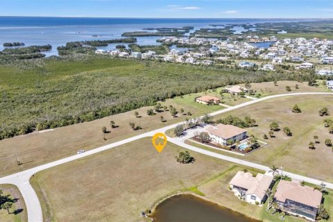 Land in Punta Gorda, Florida № 1525151 - photo 4