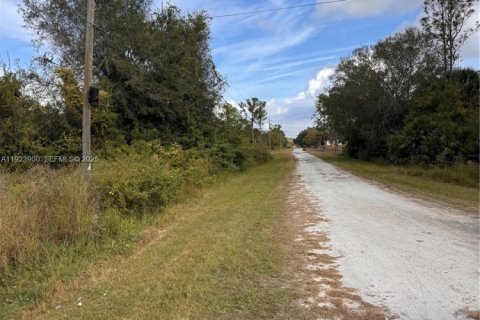 Propiedad comercial en venta en Clewiston, Florida № 1982320 - foto 6