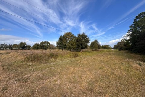 Propiedad comercial en venta en Clewiston, Florida № 1982320 - foto 2