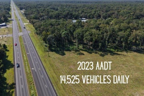 Land in Fanning Springs, Florida № 2233125 - photo 10