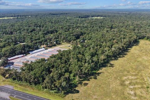 Land in Fanning Springs, Florida № 2233125 - photo 4