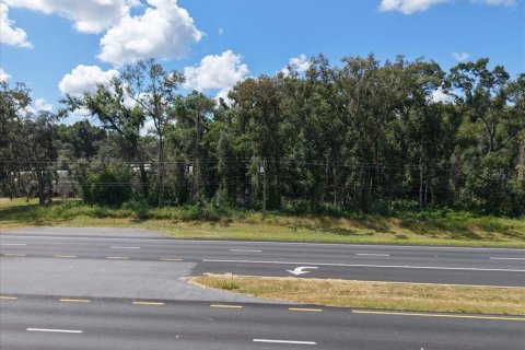 Land in Fanning Springs, Florida № 2233125 - photo 7