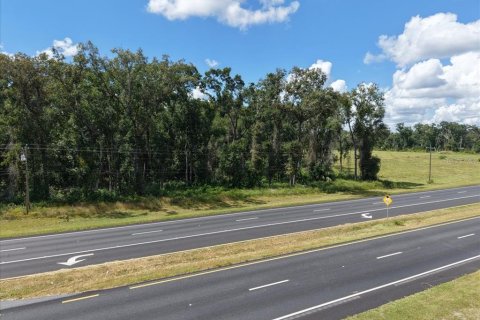 Land in Fanning Springs, Florida № 2233125 - photo 6