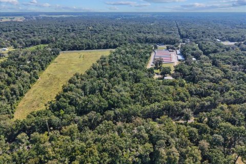 Land in Fanning Springs, Florida № 2233125 - photo 13