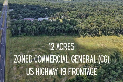 Land in Fanning Springs, Florida № 2233125 - photo 21