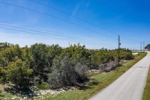 Land in Lake Placid, Florida № 1642617 - photo 4