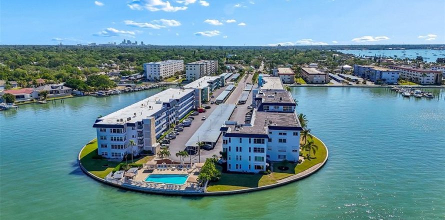 Condo à Gulfport, Floride, 2 chambres № 2147620