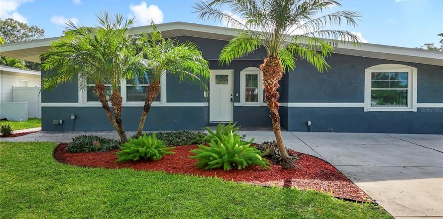House in Saint Petersburg, Florida 4 bedrooms, 160.91 sq.m. № 1882944
