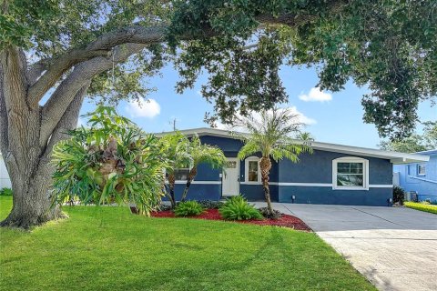 House in Saint Petersburg, Florida 4 bedrooms, 160.91 sq.m. № 1882944 - photo 3