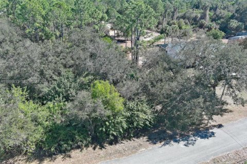 Land in Lehigh Acres, Florida № 2158257 - photo 7