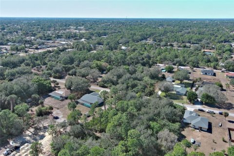 Land in Lehigh Acres, Florida № 2158257 - photo 27
