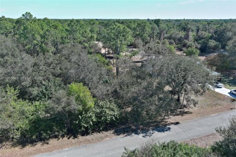 Land in Lehigh Acres, Florida № 2158257 - photo 3