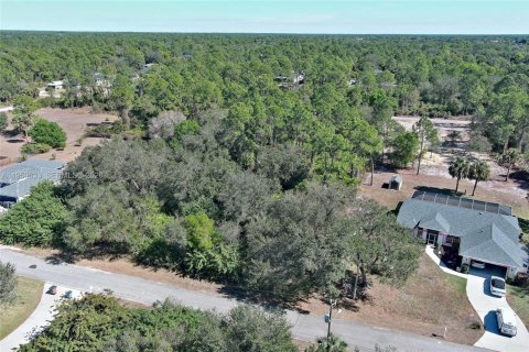 Land in Lehigh Acres, Florida № 2158257 - photo 12
