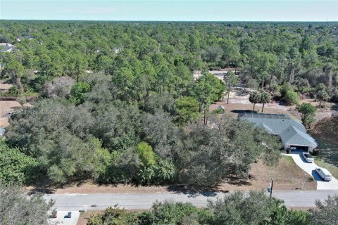 Land in Lehigh Acres, Florida № 2158257 - photo 11