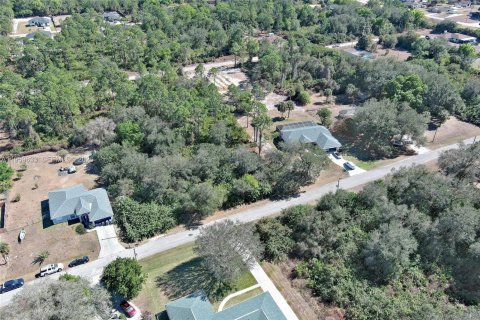 Land in Lehigh Acres, Florida № 2158257 - photo 19