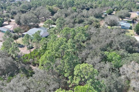 Land in Lehigh Acres, Florida № 2158257 - photo 30