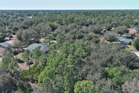 Land in Lehigh Acres, Florida № 2158257 - photo 29