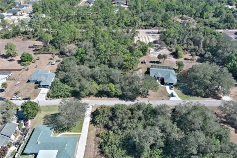 Land in Lehigh Acres, Florida № 2158257 - photo 16