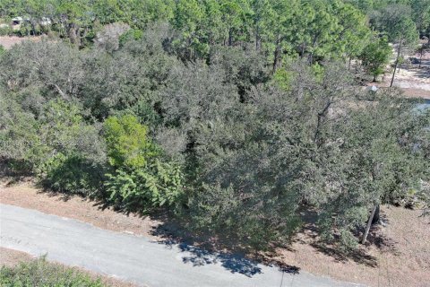 Land in Lehigh Acres, Florida № 2158257 - photo 5