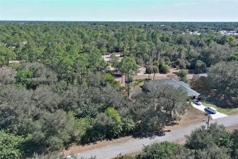 Land in Lehigh Acres, Florida № 2158257 - photo 8