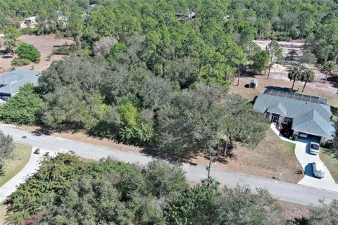 Land in Lehigh Acres, Florida № 2158257 - photo 13
