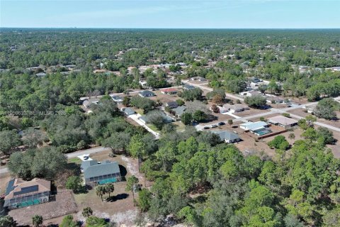 Land in Lehigh Acres, Florida № 2158257 - photo 23