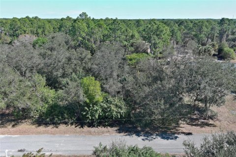 Land in Lehigh Acres, Florida № 2158257 - photo 4