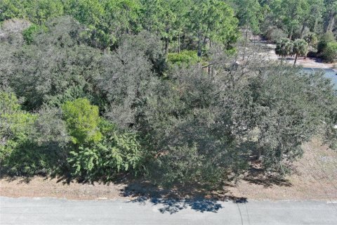 Land in Lehigh Acres, Florida № 2158257 - photo 6