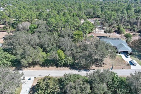 Land in Lehigh Acres, Florida № 2158257 - photo 10