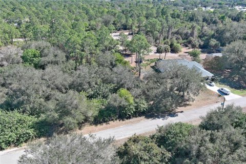 Land in Lehigh Acres, Florida № 2158257 - photo 9