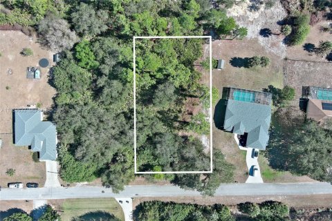 Land in Lehigh Acres, Florida № 2158257