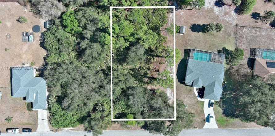 Land in Lehigh Acres, Florida № 2158257