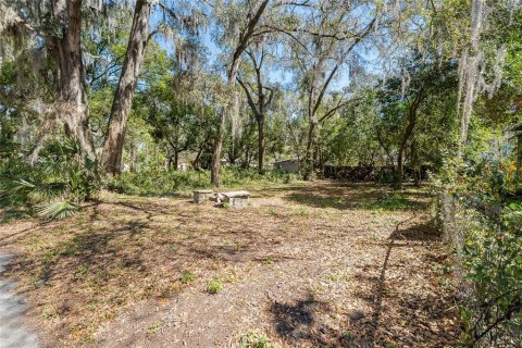 Terrain à vendre à Gainesville, Floride № 1550033 - photo 12