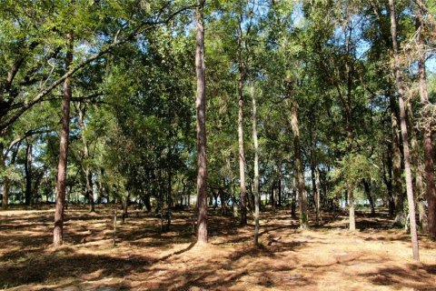 Купить земельный участок в Санфорд, Флорида № 1907417 - фото 9