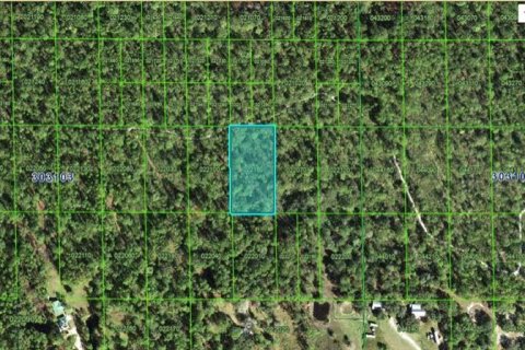 Terreno en Lake Wales, Florida № 2226949