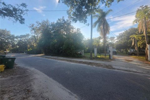 Land in Tampa, Florida № 1542526 - photo 6
