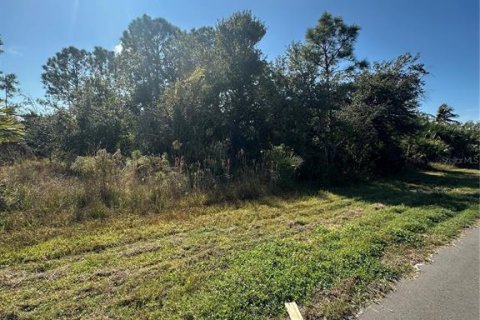 Land in Englewood, Florida № 2162833 - photo 3