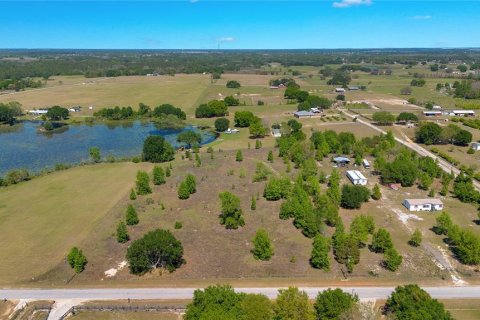 Land in Groveland, Florida № 1518290 - photo 3