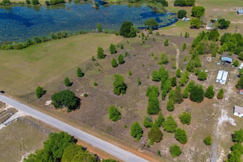 Land in Groveland, Florida № 1518290 - photo 5