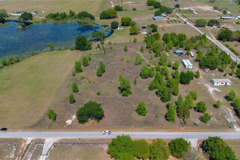 Land in Groveland, Florida № 1518290 - photo 4