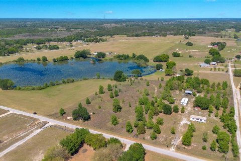 Land in Groveland, Florida № 1518290 - photo 6