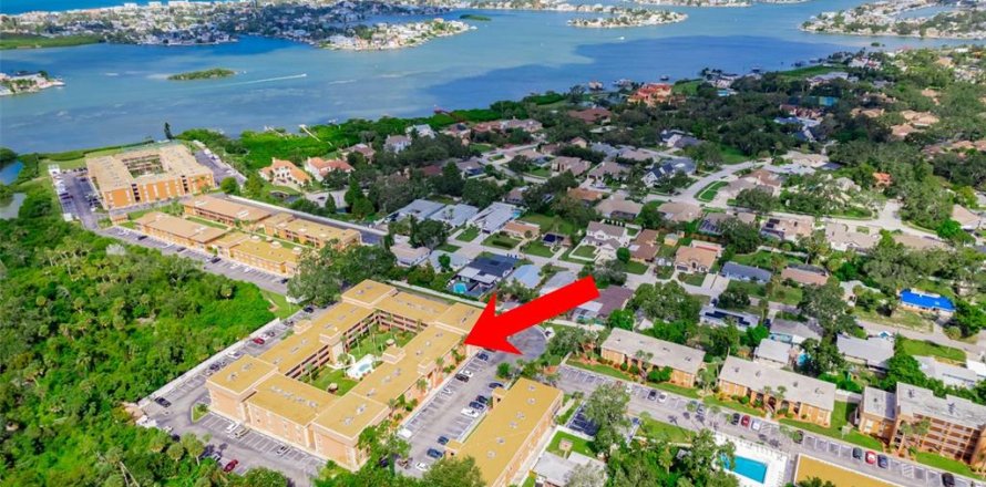 Condo à Largo, Floride, 2 chambres № 2166084