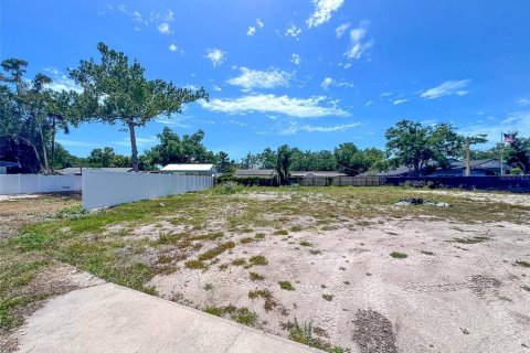 Terrain à vendre à Bradenton, Floride № 2092761 - photo 6