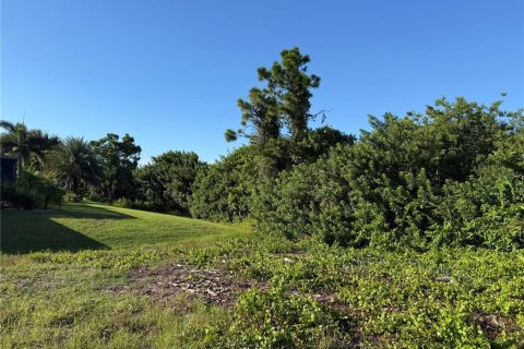 Land in Rotonda, Florida № 2371570 - photo 4