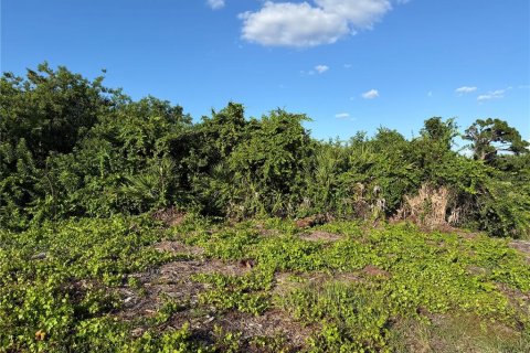 Land in Rotonda, Florida № 2371570 - photo 5