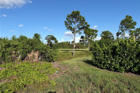 Land in Rotonda, Florida № 2371570 - photo 3
