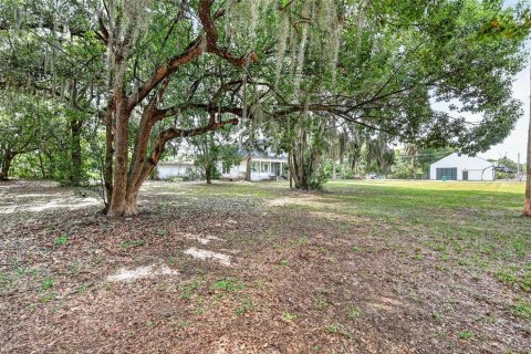 House in Mount Dora, Florida 3 bedrooms, 143.53 sq.m. № 2222552 - photo 8