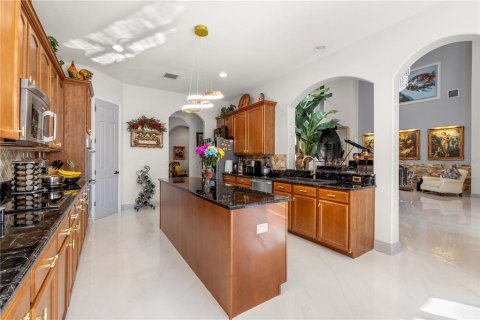 Villa ou maison à vendre à Tampa, Floride: 5 chambres, 369.1 m2 № 2094035 - photo 5