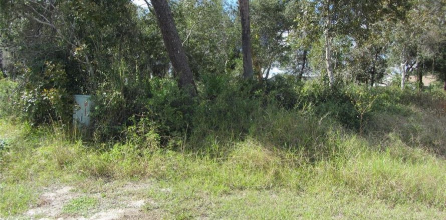 Terrain à Deltona, Floride № 214626